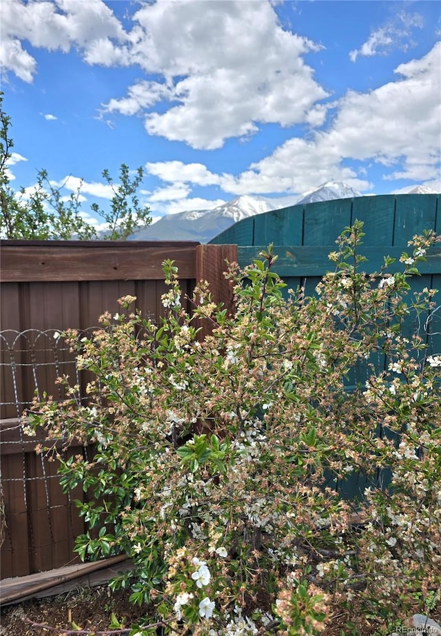 15100 County Road 328, Buena Vista, CO 81211 - photo 47