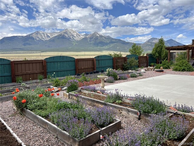 15100 County Road 328, Buena Vista, CO 81211 - photo 5