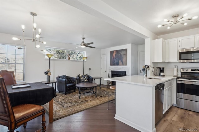 kitchen featuring a fireplace, stainless steel appliances, open floor plan, a sink, and wood finished floors