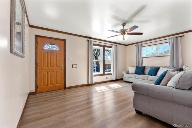 6981 Zuni St, Denver, CO 80221 - living room with crown molding, a healthy amount of sunlight, and light wood-type flooring