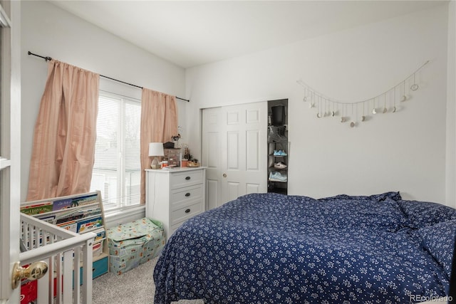 8707 E Florida Ave Unit 510, Denver, CO 80247 - bedroom featuring carpet floors and a closet