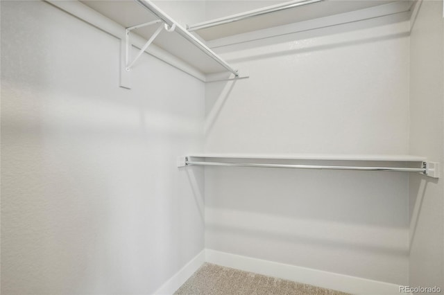 spacious closet with carpet floors