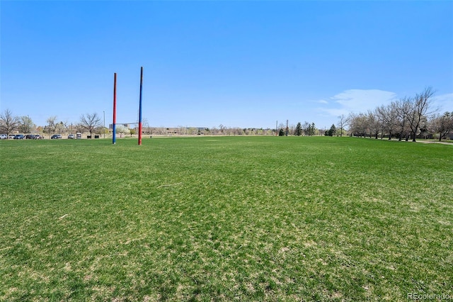 1580 S Krameria St, Denver, CO 80224 - photo 27