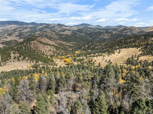 3115 State Highway 9, Guffey, CO 80820 - view of mountain backdrop featuring a heavily wooded area