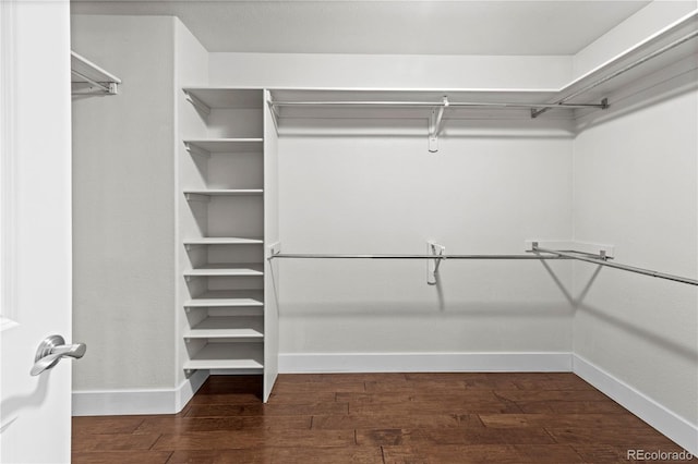 1366 S Vine St, Denver, CO 80210 - spacious closet featuring dark wood finished floors