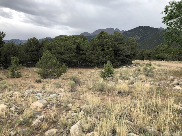 3386 Genial Way, Crestone, CO 81131