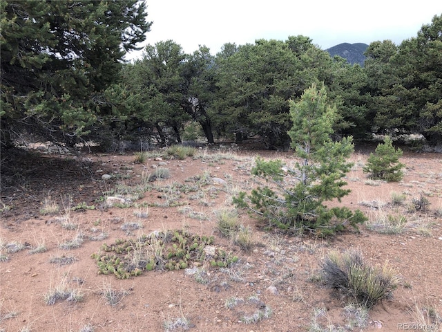 3386 Genial Way, Crestone, CO 81131