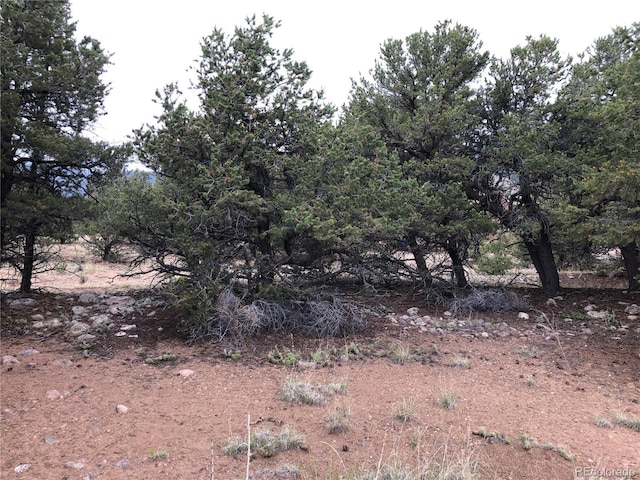 3386 Genial Way, Crestone, CO 81131