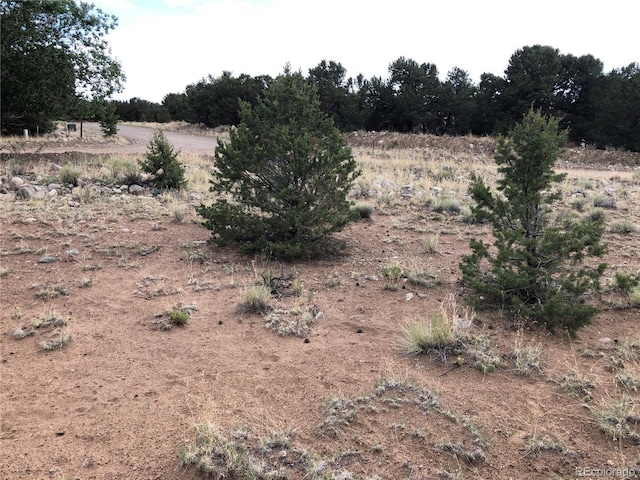 3386 Genial Way, Crestone, CO 81131