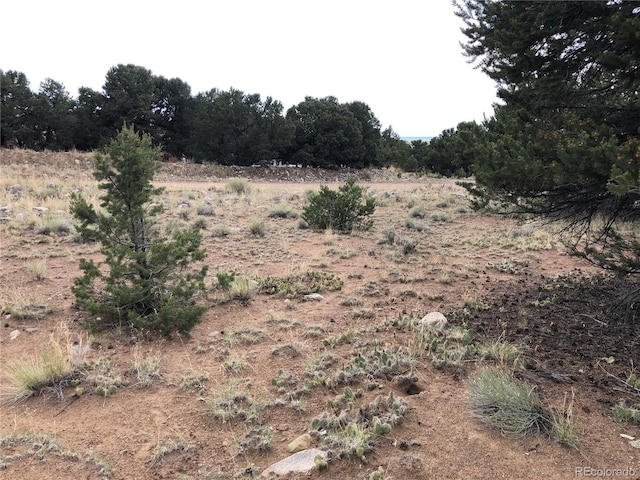 3386 Genial Way, Crestone, CO 81131