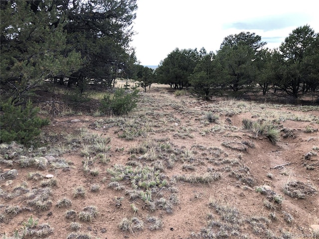 3386 Genial Way, Crestone, CO 81131