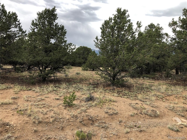 3386 Genial Way, Crestone, CO 81131