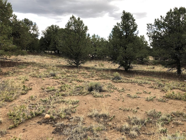3386 Genial Way, Crestone, CO 81131