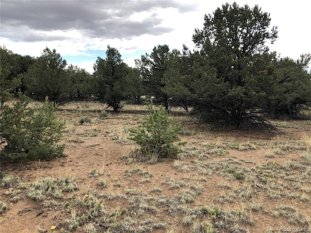 3386 Genial Way, Crestone, CO 81131