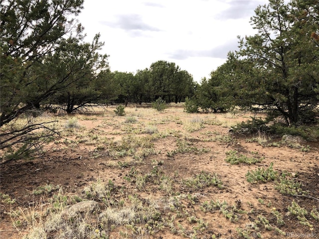 3386 Genial Way, Crestone, CO 81131