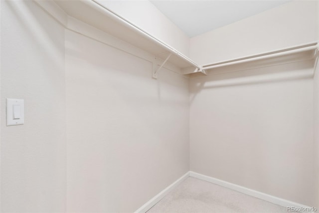 875 E 78th Ave Unit 52, Denver, CO 80229 - spacious closet with light colored carpet