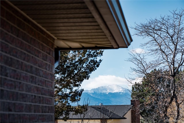 details with a mountain view