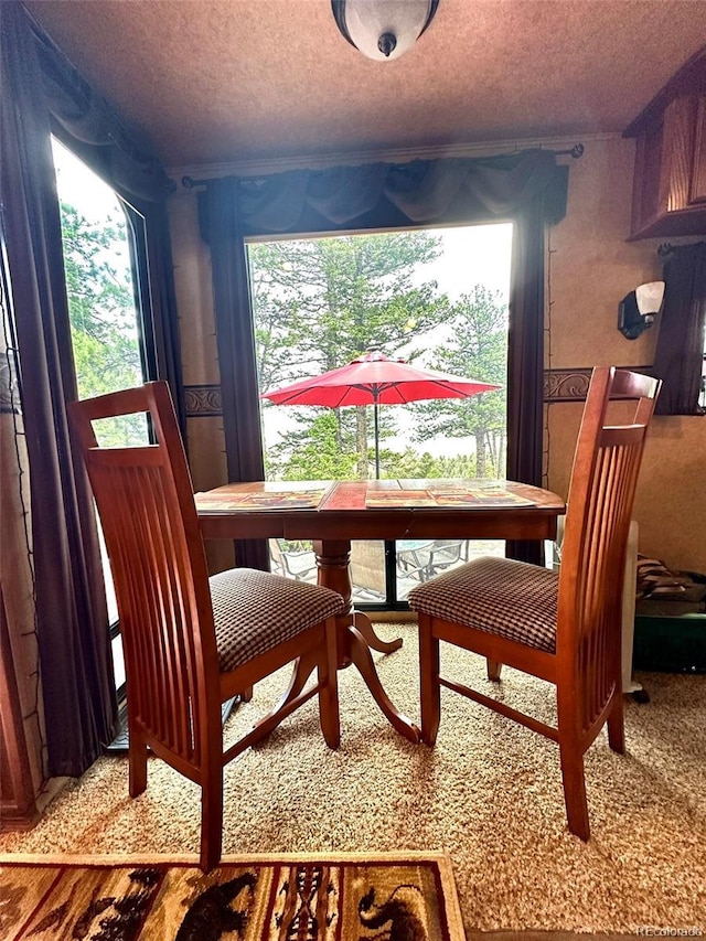 65 Spike Way, Hartsel, CO 80440