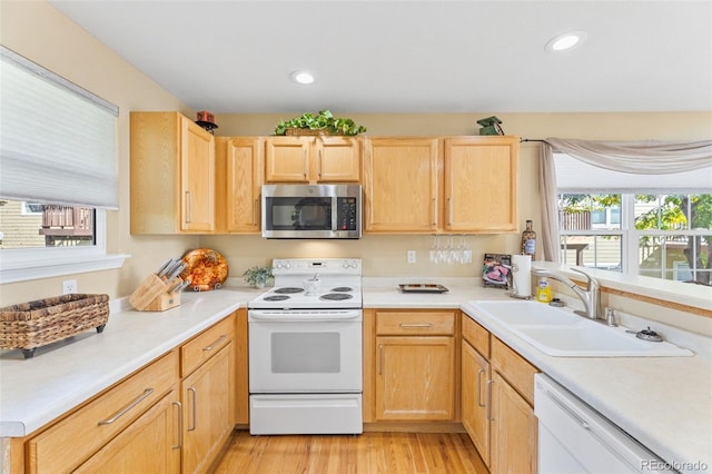 kitchen with a wealth of natural light, white appliances, light wood-type flooring, and sink