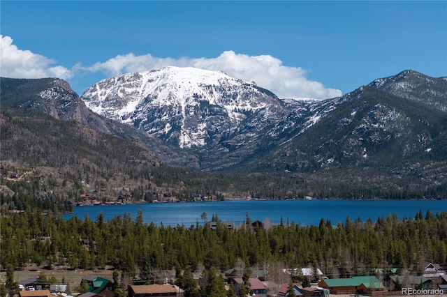 508 Ravenwood Dr Unit A1, Grand Lake, CO 80447 - photo 39