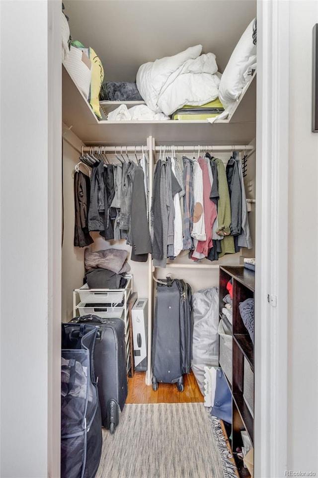 view of closet