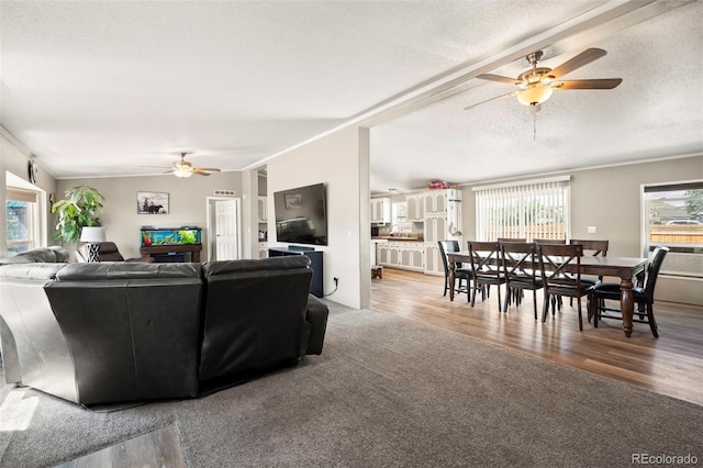 living room with wood-type flooring, a textured ceiling, ceiling fan, and crown molding