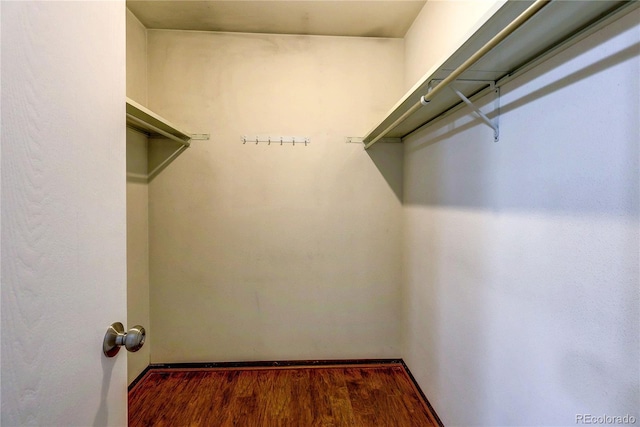 2829 S Xanadu Way, Aurora, CO 80014 - walk in closet featuring wood finished floors