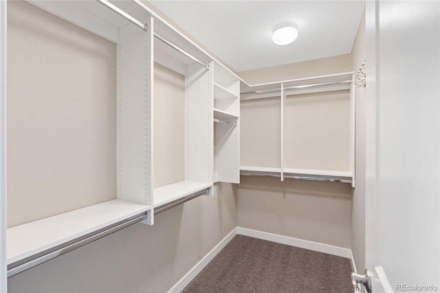 239 W Jamison Ct, Littleton, CO 80120 - walk in closet with dark carpet
