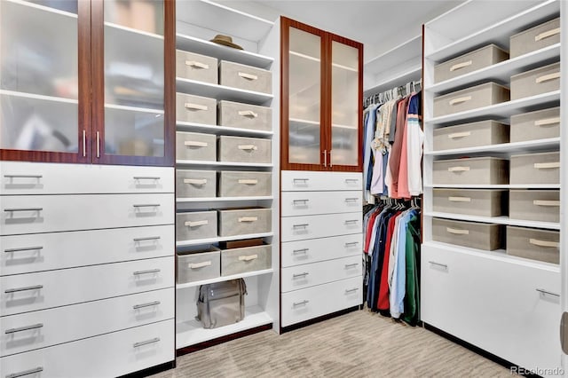 view of spacious closet