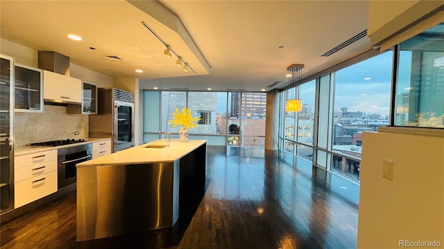 kitchen featuring sink, white cabinetry, dark hardwood / wood-style floors, an island with sink, and stainless steel appliances