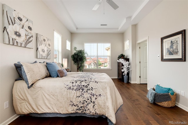 bedroom with multiple windows, dark wood-type flooring, a raised ceiling, and ceiling fan