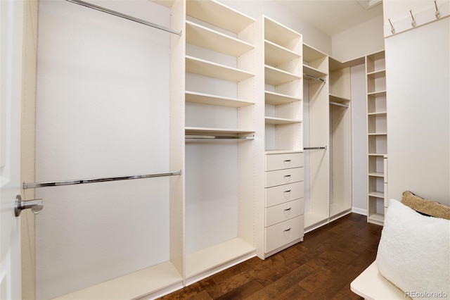 walk in closet featuring dark wood-type flooring