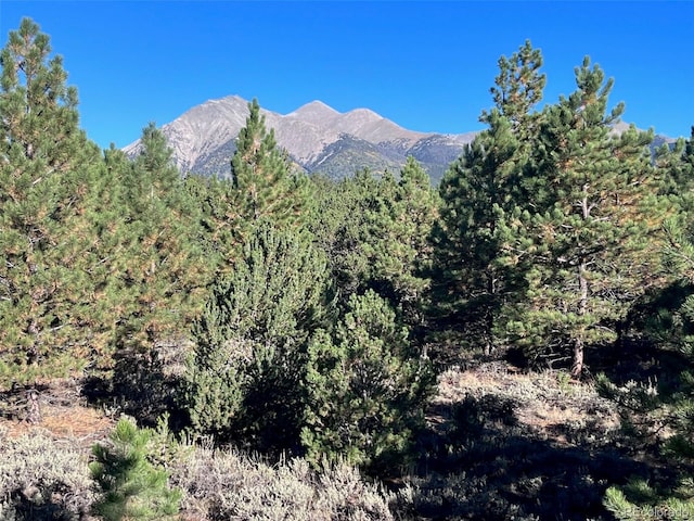 14710 Quartz Cir, Salida, CO 81201 - photo 1