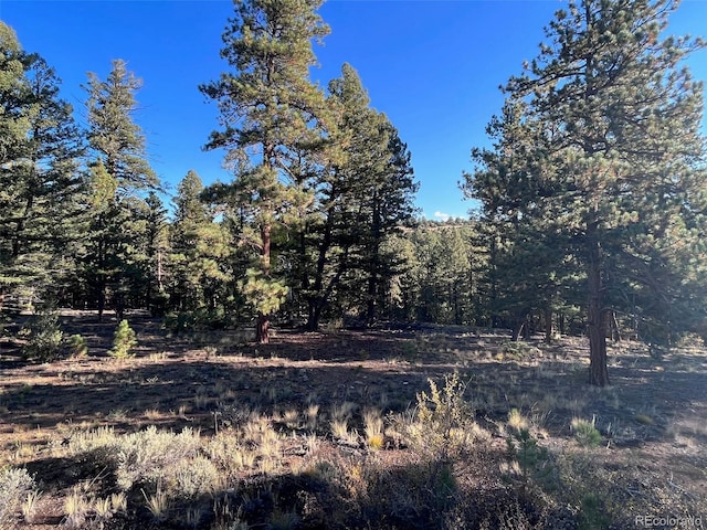 14710 Quartz Cir, Salida, CO 81201 - photo 2