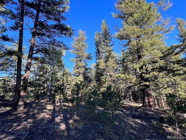 14710 Quartz Cir, Salida, CO 81201 - photo 5