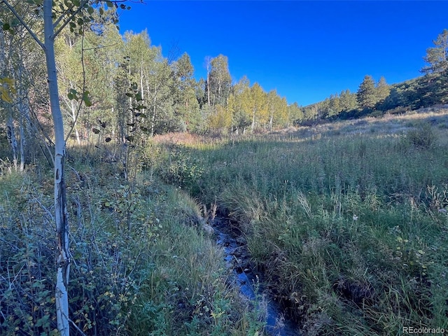 14710 Quartz Cir, Salida, CO 81201 - photo 8