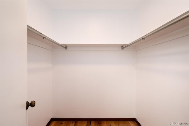 8666 E Easter Ave, Centennial, CO 80112 - walk in closet with dark wood-style floors