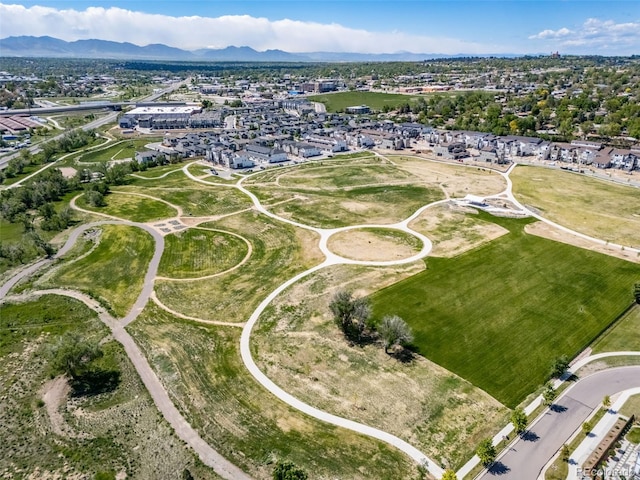 7160 Canosa Ct, Westminster, CO 80030 - photo 49