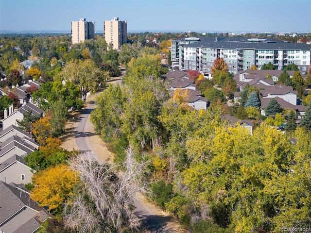 bird's eye view