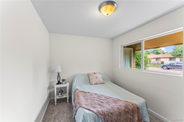 134 Hayes Dr, Colorado Springs, CO 80911 - bedroom with carpet flooring
