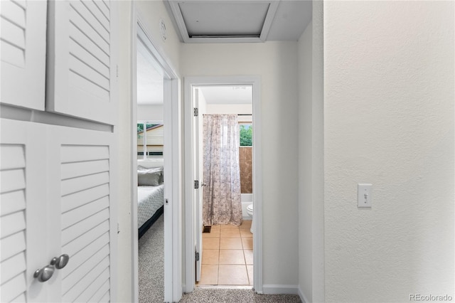 134 Hayes Dr, Colorado Springs, CO 80911 - corridor featuring carpet flooring and a textured wall