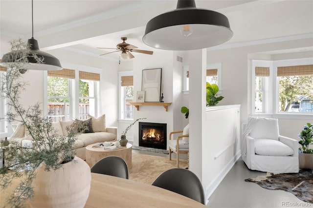 539 Baker St, Longmont, CO 80501 - living room with a glass covered fireplace, ceiling fan, and crown molding