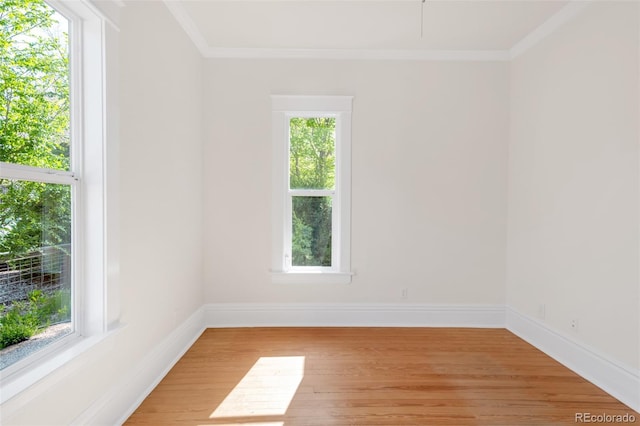 539 Baker St, Longmont, CO 80501 - unfurnished room featuring light wood-style flooring, baseboards, and crown molding