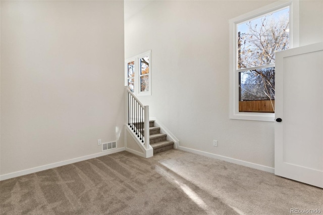 interior space with carpet