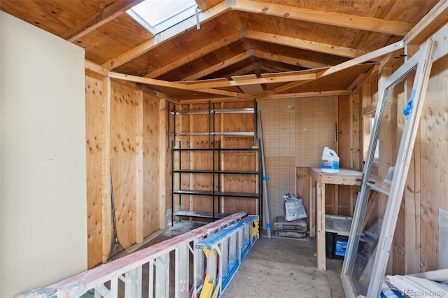 storage with a skylight