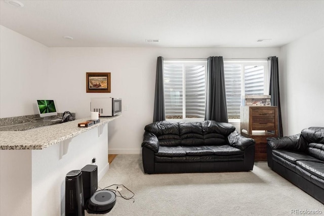 17247 E 103rd Ave, Commerce City, CO 80022 - photo 23