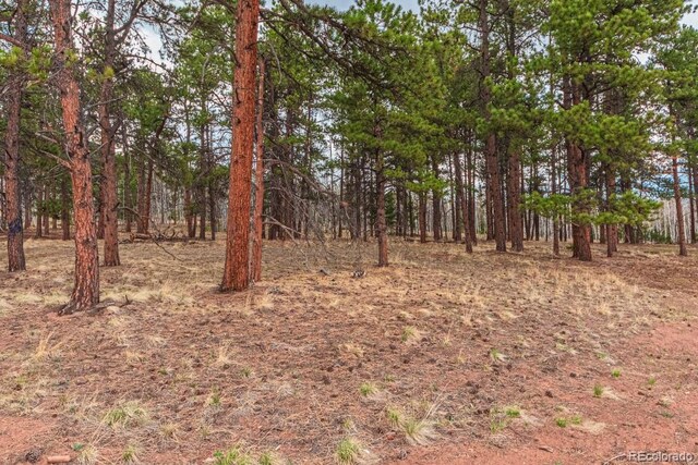 1290 Firestone Dr, Woodland Park, CO 80863 - photo 1