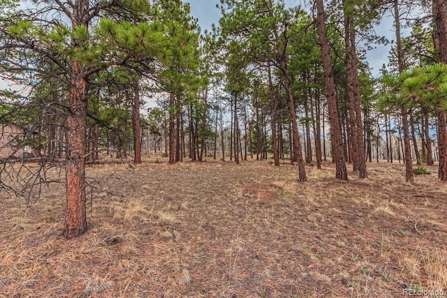 1290 Firestone Dr, Woodland Park, CO 80863 - photo 2