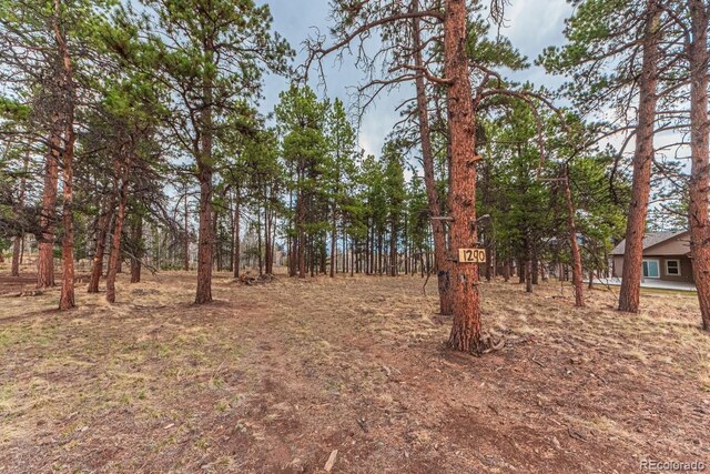 1290 Firestone Dr, Woodland Park, CO 80863 - photo 3