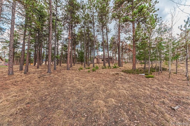 1290 Firestone Dr, Woodland Park, CO 80863 - photo 5